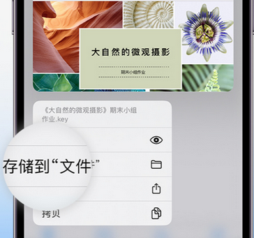 榆林apple维修中心分享iPhone文件应用中存储和找到下载文件