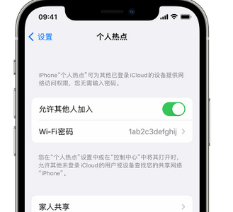 榆林apple服务站点分享iPhone上个人热点丢失了怎么办 