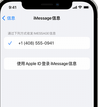 榆林apple维修iPhone上无法正常发送iMessage信息 