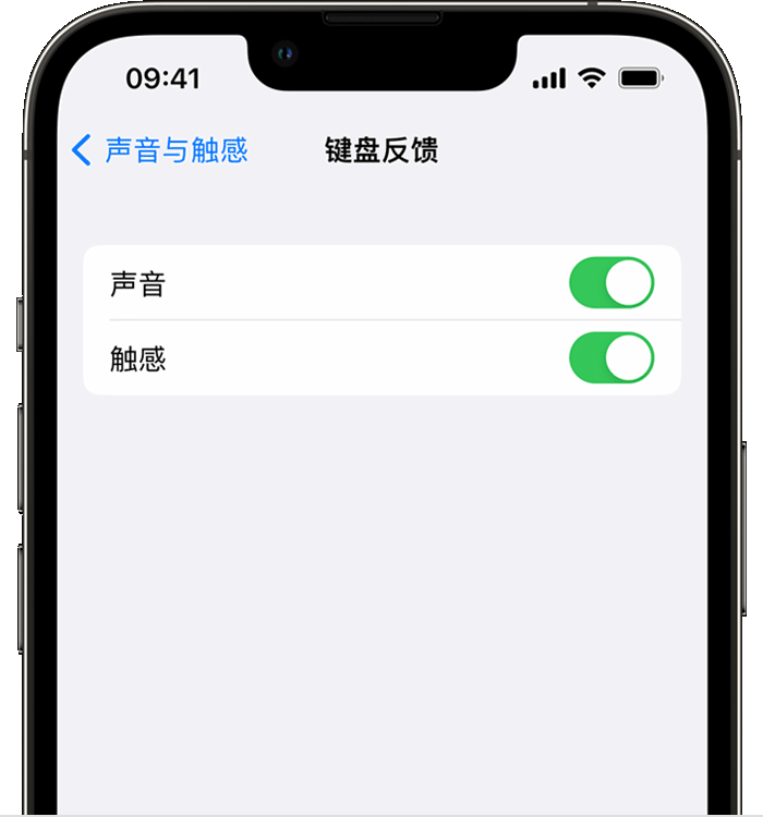 榆林苹果14维修店分享如何在 iPhone 14 机型中使用触感键盘 