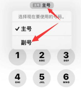 榆林苹果14维修店分享iPhone 14 Pro Max使用副卡打电话的方法 