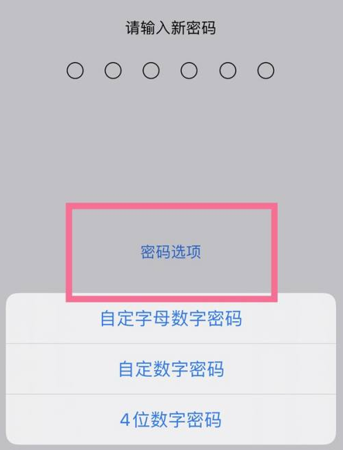 榆林苹果14维修分享iPhone 14plus设置密码的方法 