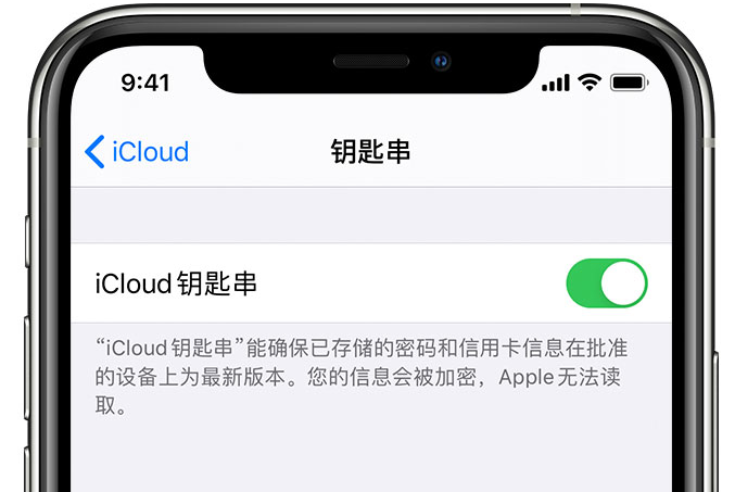 榆林苹果手机维修分享在 iPhone 上开启 iCloud 钥匙串之后会储存哪些信息 