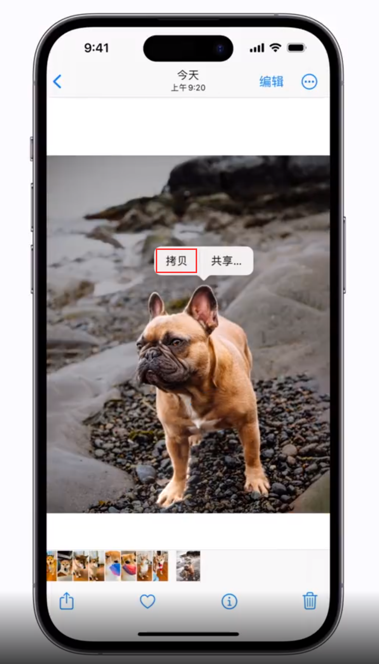 榆林苹果手机维修分享 iOS 16 自带一键抠图功能 