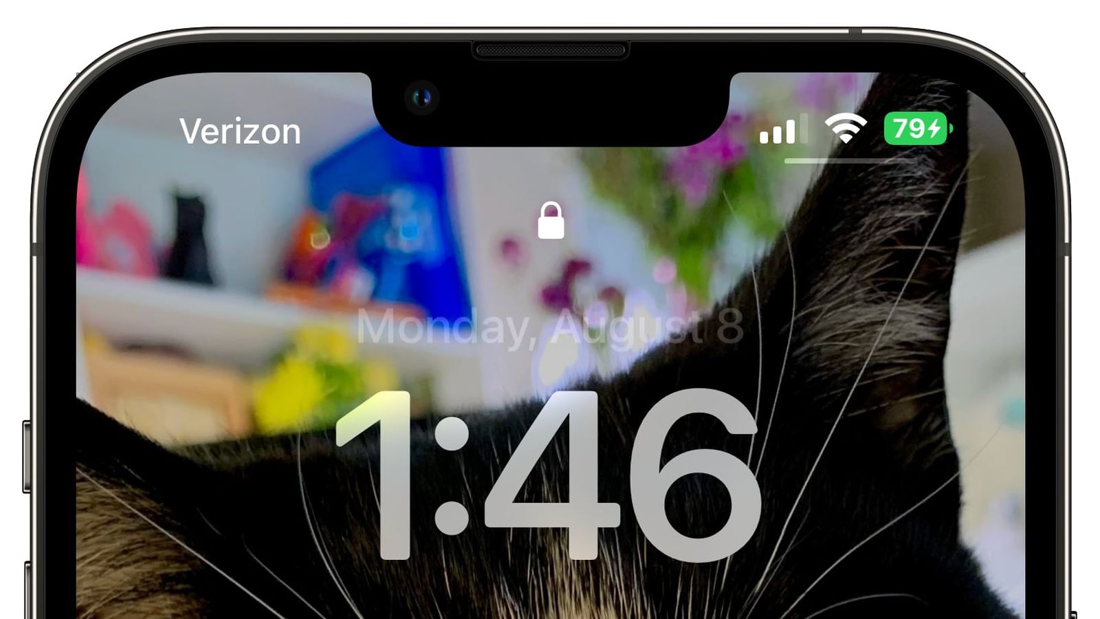 榆林苹果手机维修分享iOS 16 beta 5 支持状态栏显示电池百分比，如何开启？支持哪些机型 