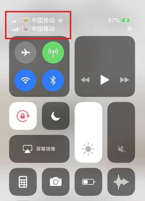 榆林苹果手机维修分享为 iPhone 12 双卡设置标签 